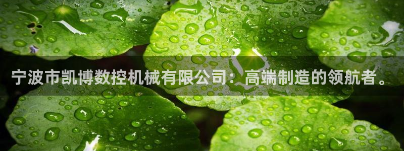 天辰娱乐 231639:宁波市凯博数控机械有限公司:高端制造的领航者。