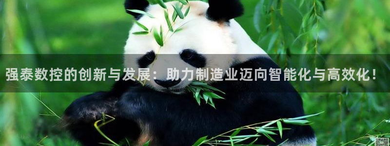 天辰娱乐挂机:强泰数控的创新与发展:助力制造业迈向智能化与高效化!