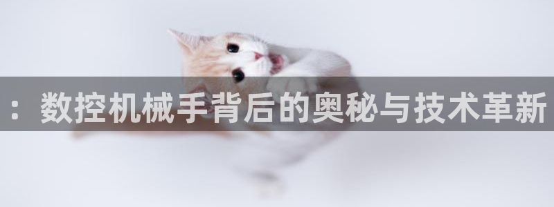 天辰娱乐557448::数控机械手背后的奥秘与技术革新