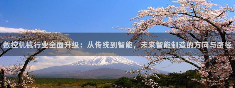 天辰娱乐怎么样:数控机械行业全面升级:从传统到智能,未来智能制造的方向与路径