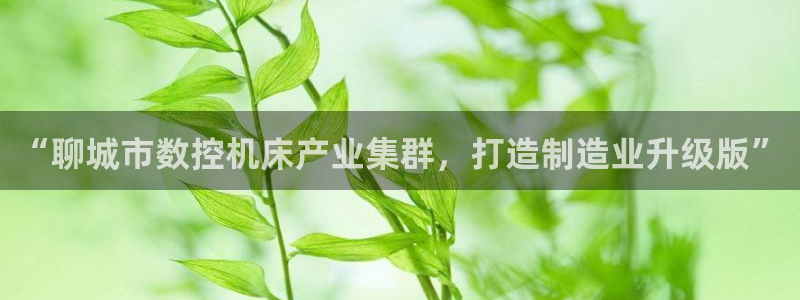 天辰娱乐主页:“聊城市数控机床产业集群,打造制造业升级版”