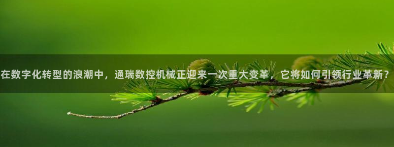 天辰娱乐-q:在数字化转型的浪潮中,通瑞数控机械正迎来一次重大变革,它将如何引领行业革新?