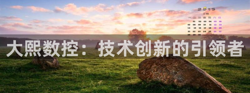 天辰娱乐557696:大熙数控:技术创新的引领者