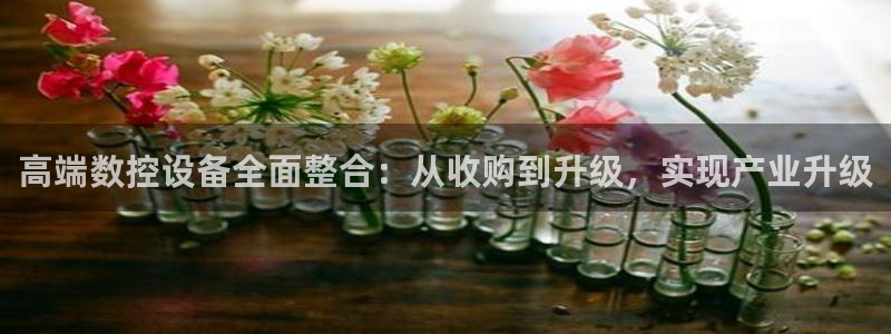 天辰娱乐39974神:高端数控设备全面整合:从收购到升级,实现产业升级