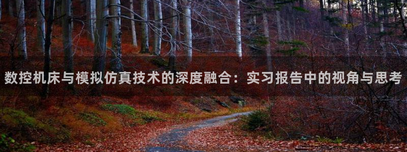 天辰娱乐白屏:数控机床与模拟仿真技术的深度融合:实习报告中的视角与思考