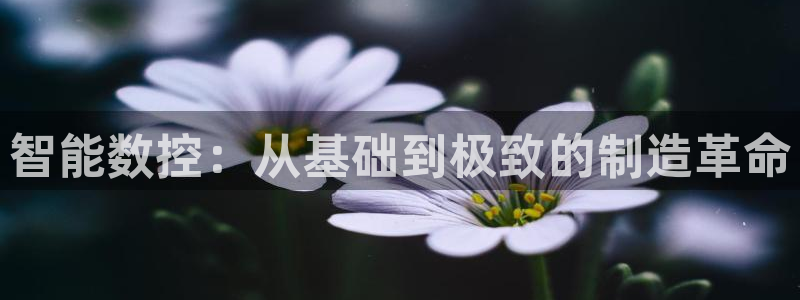 天辰娱乐论坛:智能数控:从基础到极致的制造革命