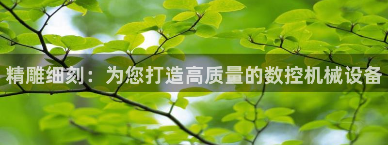 天辰娱乐官:精雕细刻:为您打造高质量的数控机械设备