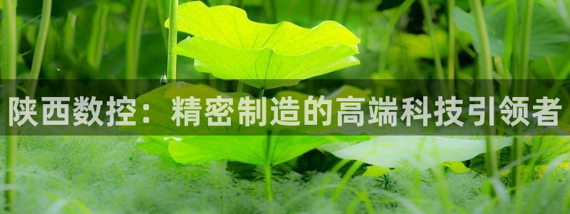 天辰娱乐开户:陕西数控:精密制造的高端科技引领者