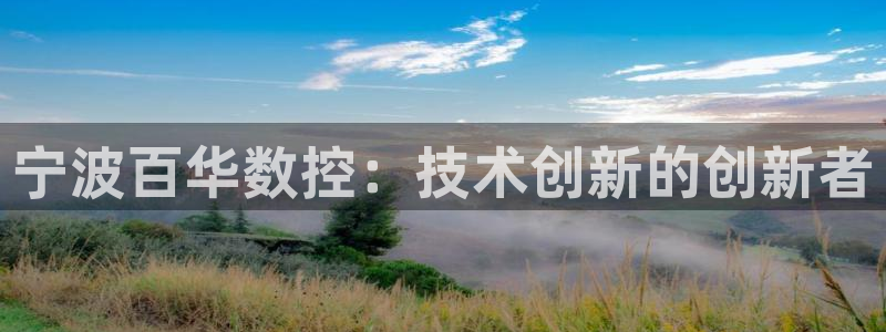 天辰娱乐 728567:宁波百华数控:技术创新的创新者