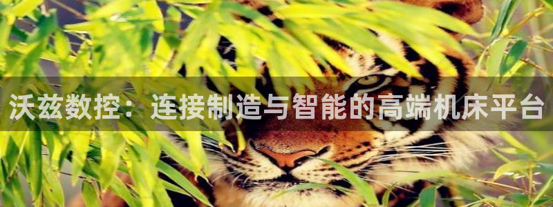 天辰娱乐论坛:沃兹数控:连接制造与智能的高端机床平台