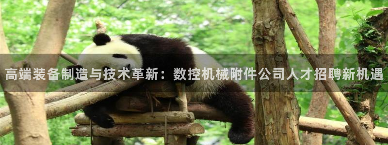 徐州天辰娱乐:高端装备制造与技术革新:数控机械附件公司人才招聘新机遇