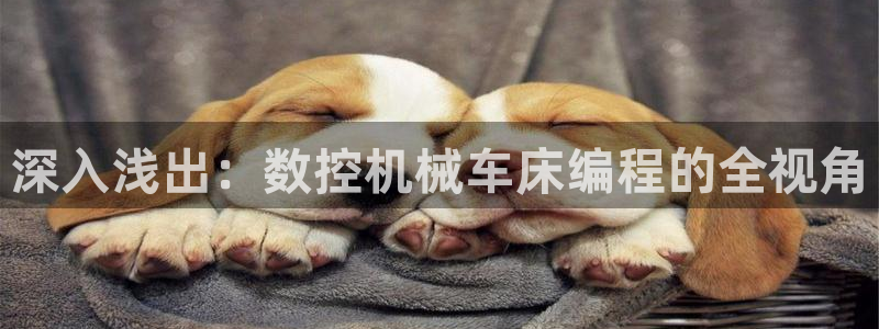 深圳天辰娱乐:深入浅出:数控机械车床编程的全视角