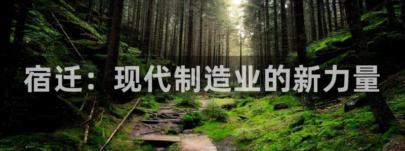 天辰娱乐彩票:宿迁:现代制造业的新力量