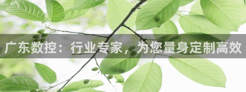 天辰娱乐注册登录:广东数控:行业专家,为您量身定制高效